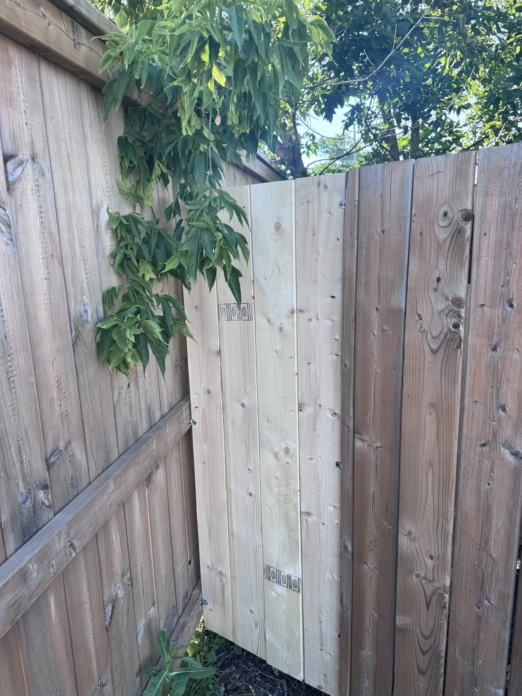 Backyard Fence Gate Repair — after